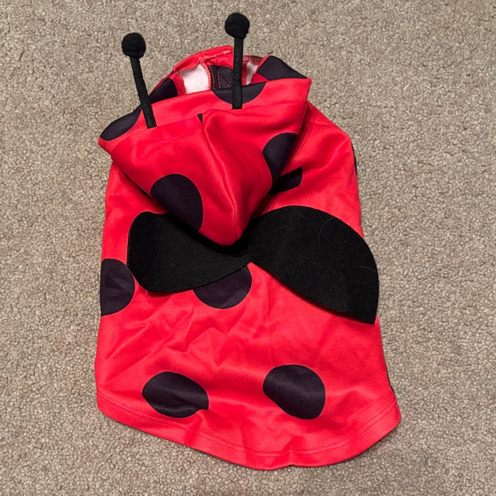 H&M Red and Black Polka Dot Dog Hoodie
